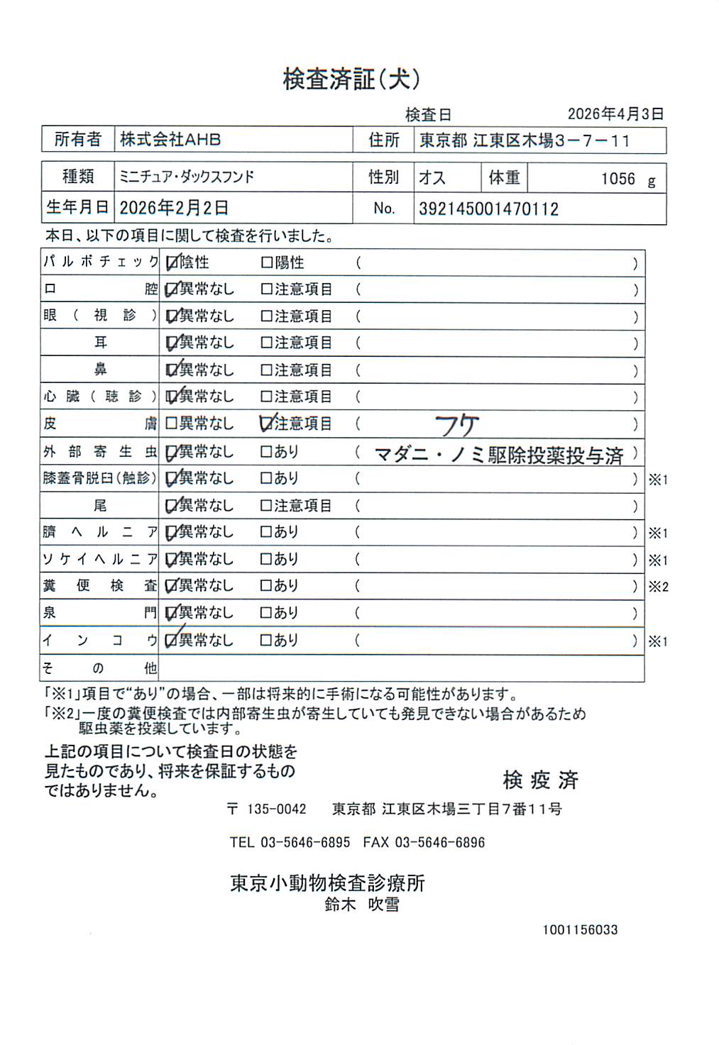 ミニチュア・ダックスフンド