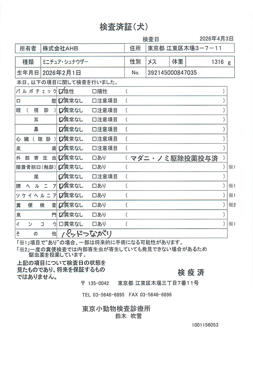 ミニチュア・シュナウザー