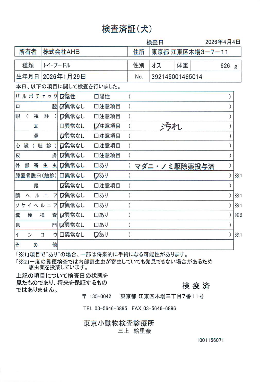 トイ・プードル