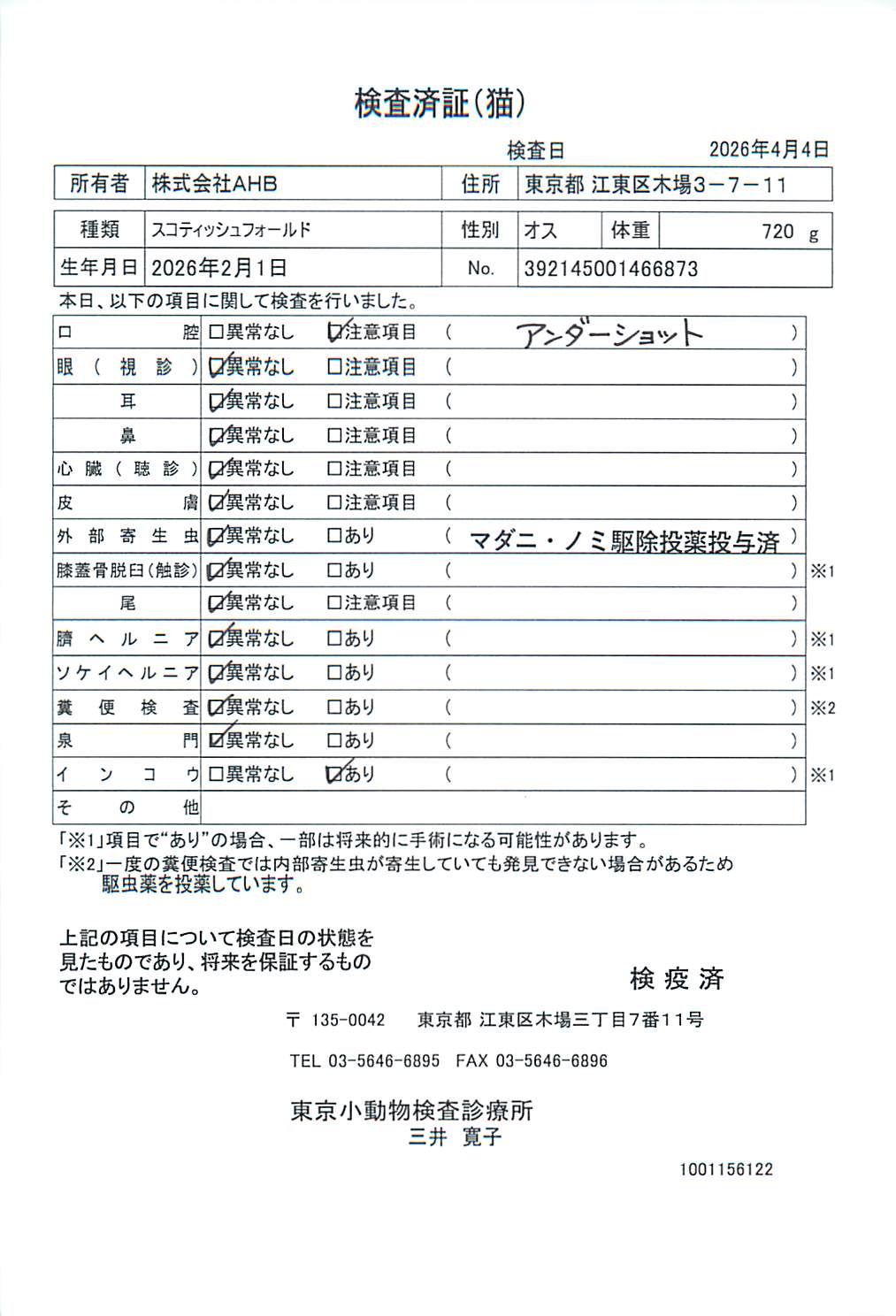 スコティッシュフォールド