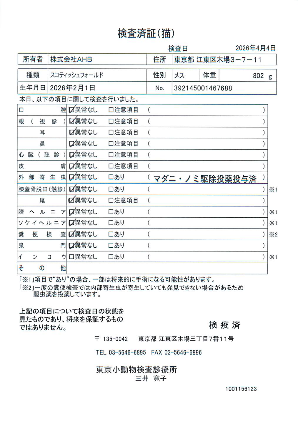 スコティッシュフォールド