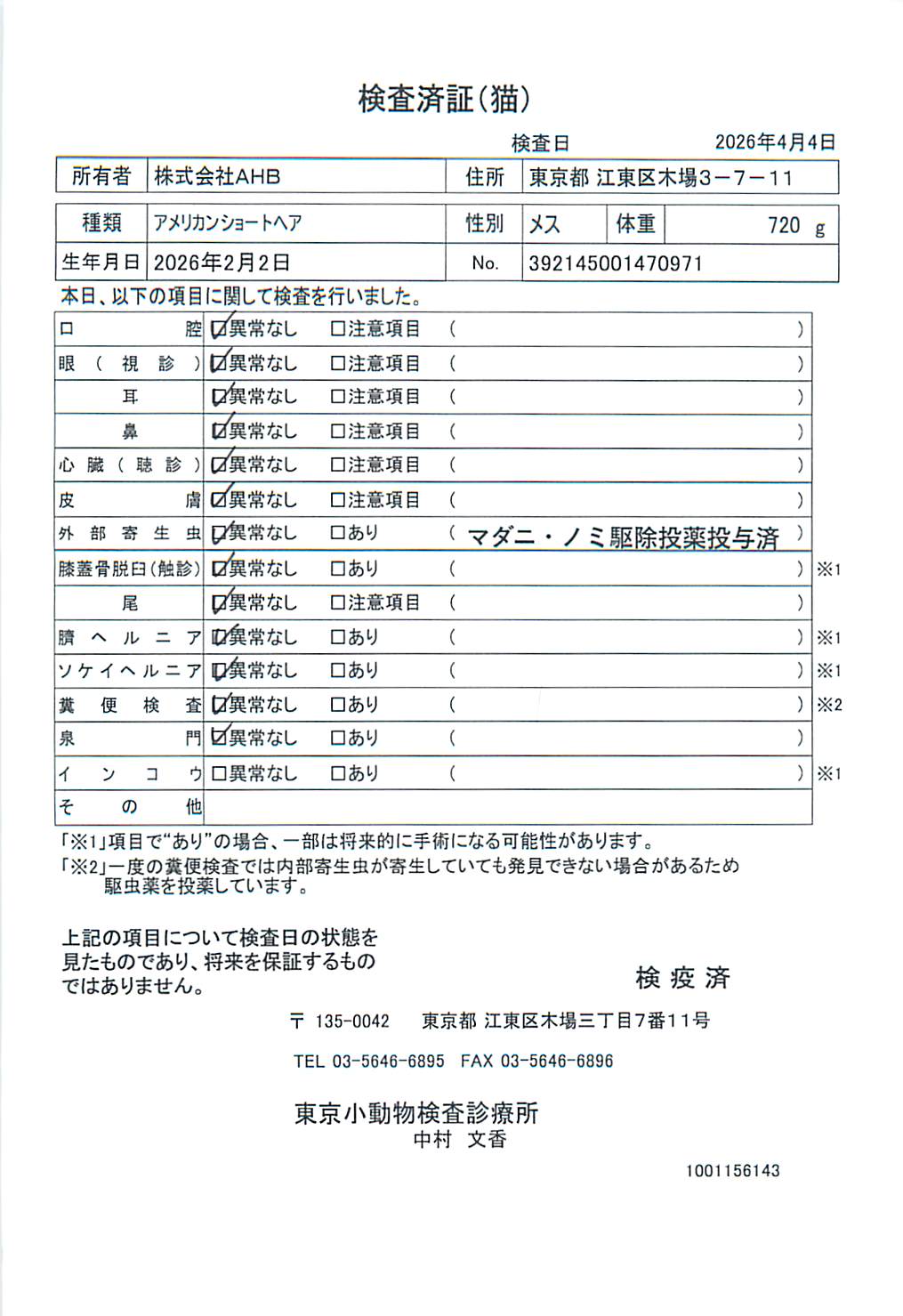 アメリカンショートヘア