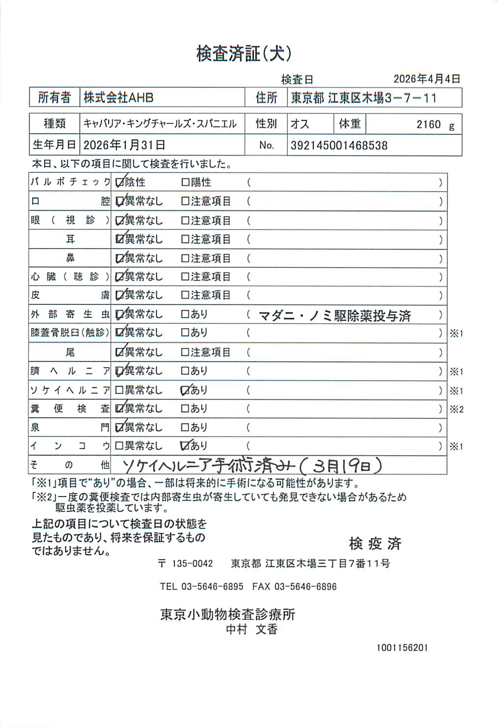 キャバリア・キングチャールズ・スパニエル
