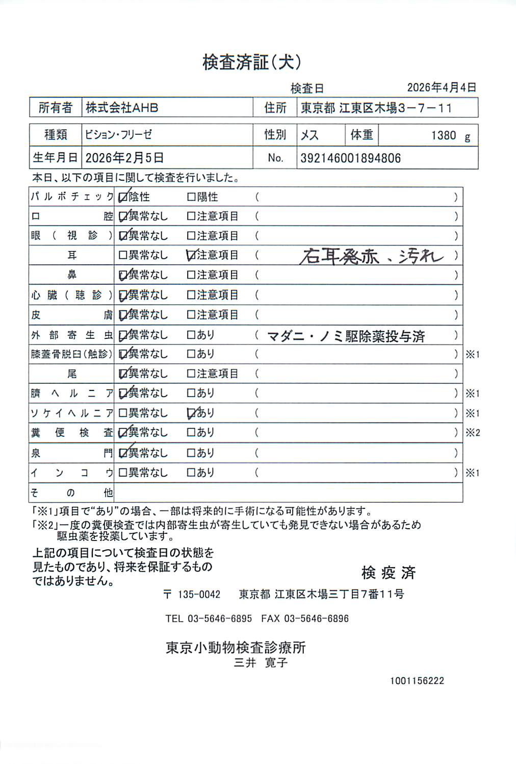 ビション・フリーゼ