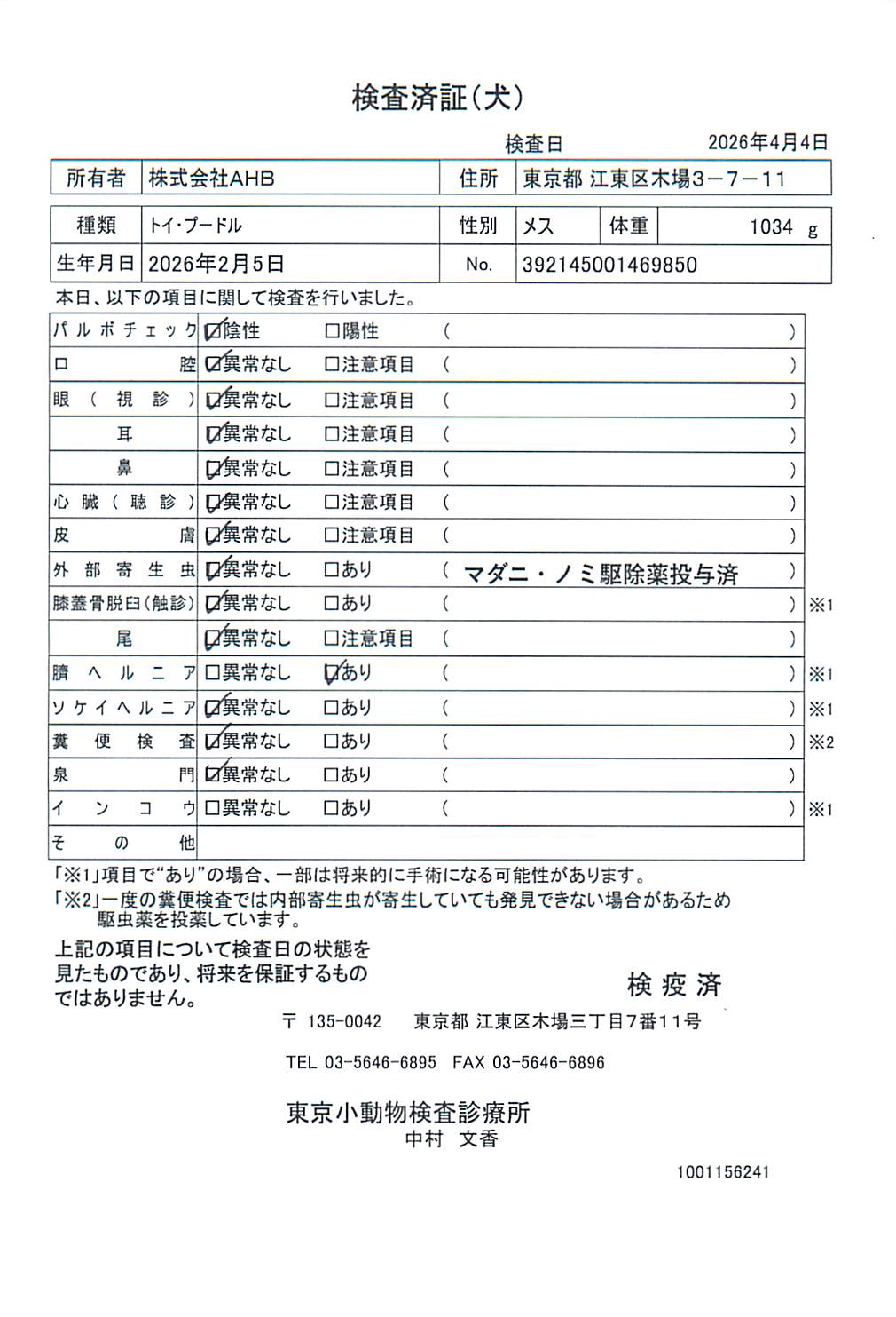 トイ・プードル