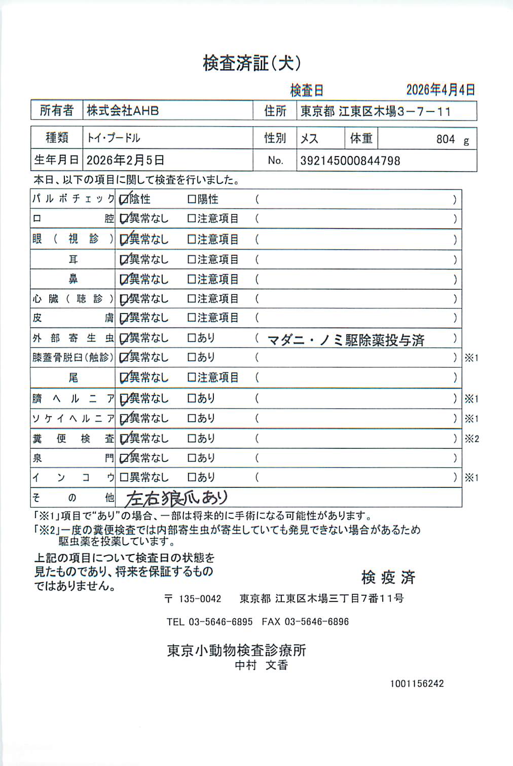 トイ・プードル