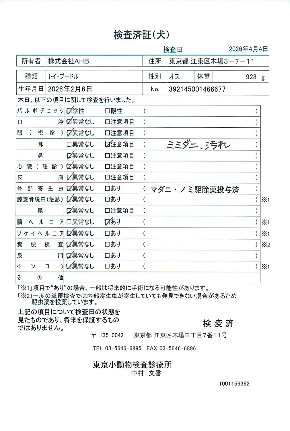 トイ・プードル