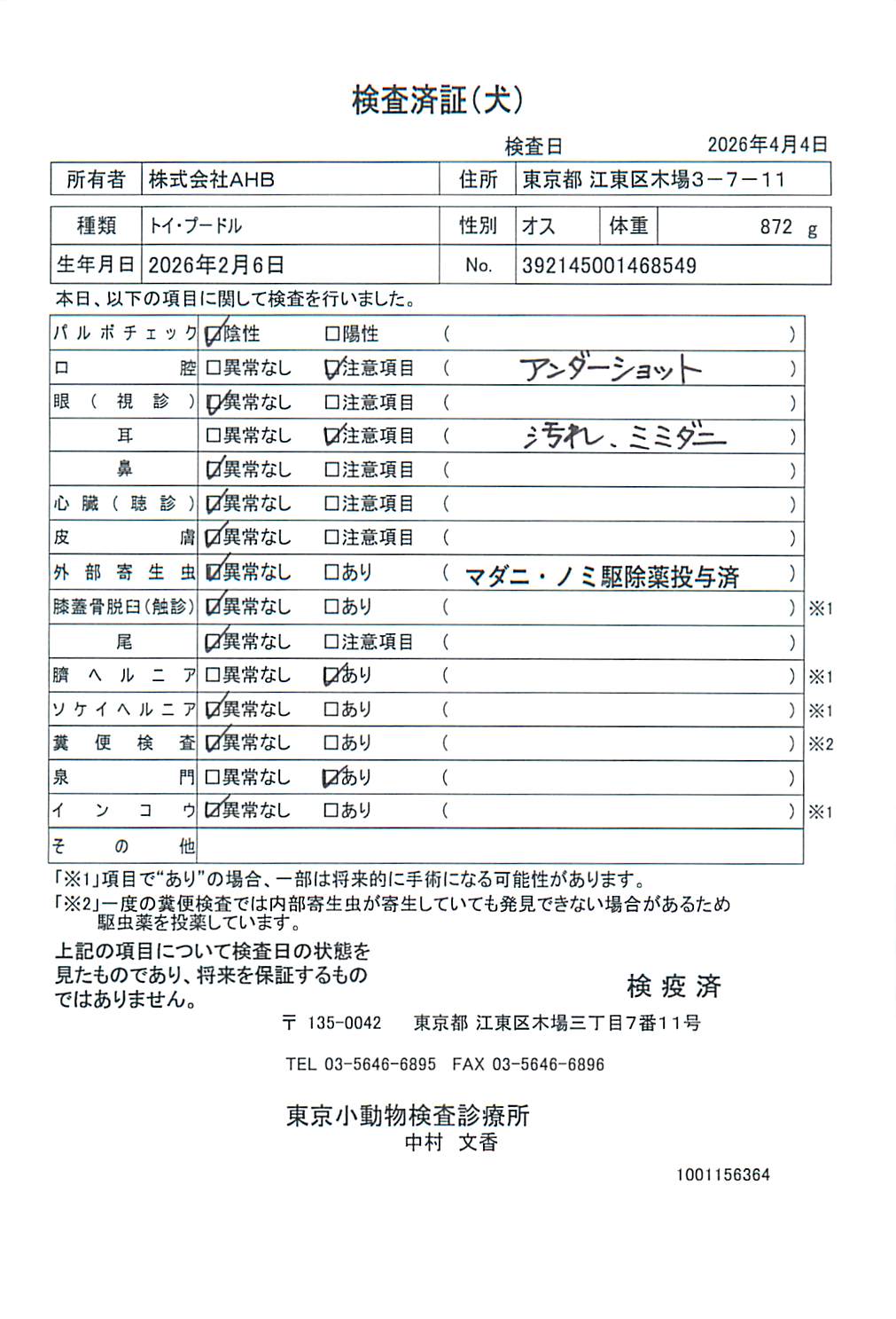 トイ・プードル
