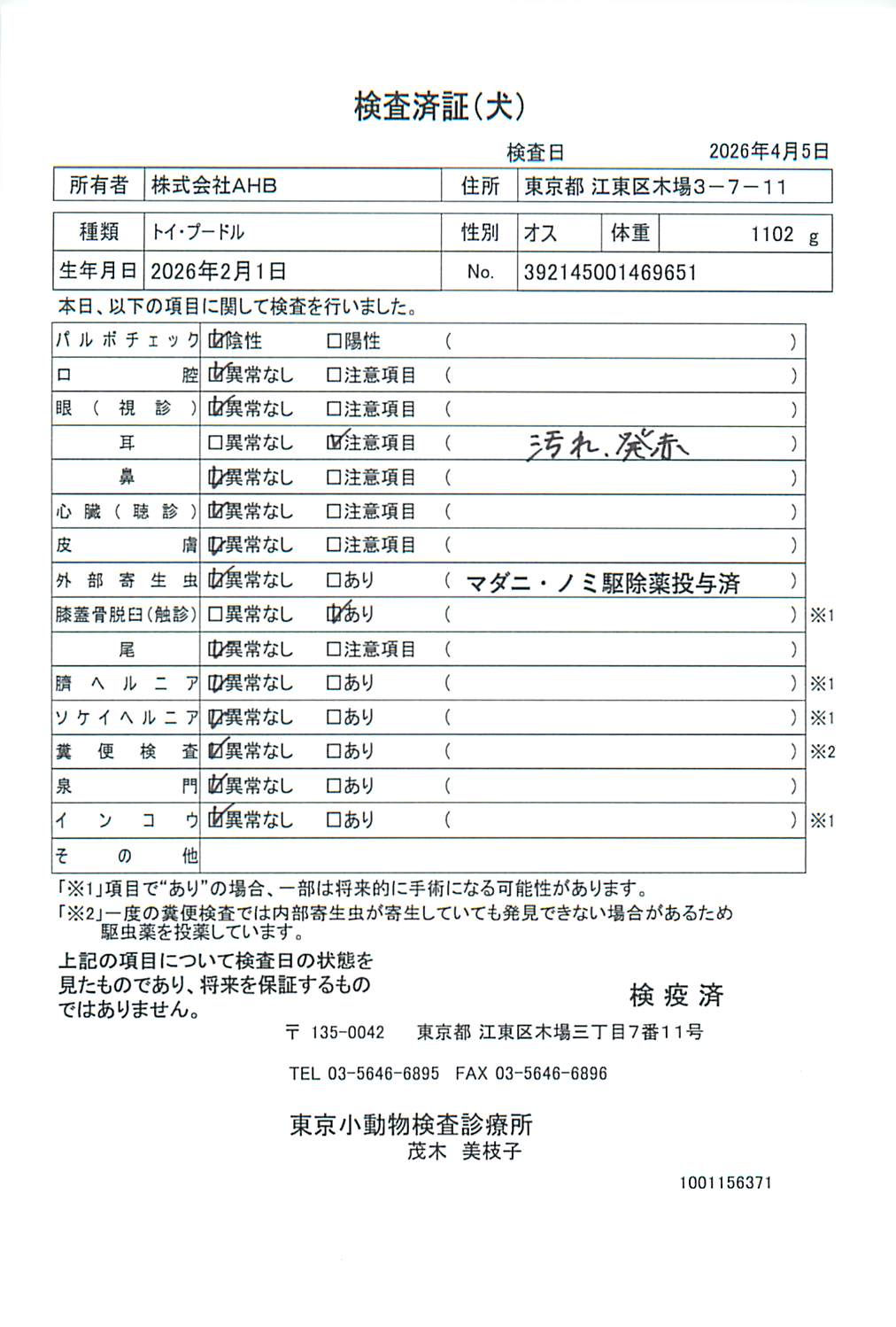 トイ・プードル