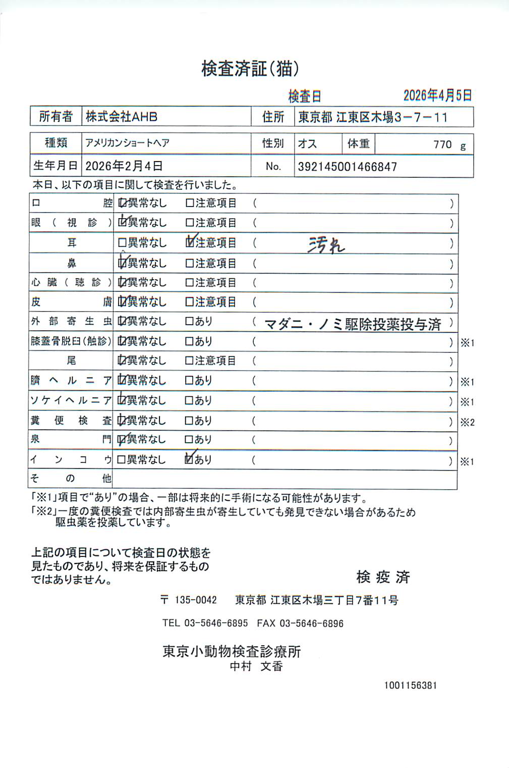 アメリカンショートヘア