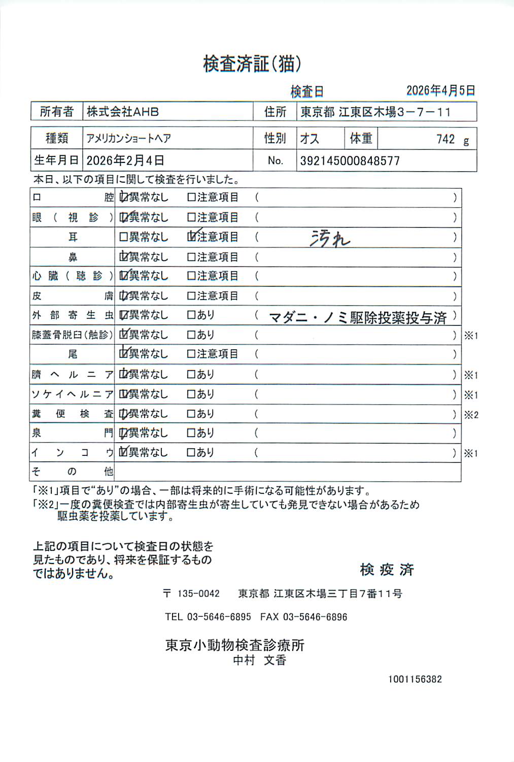 アメリカンショートヘア