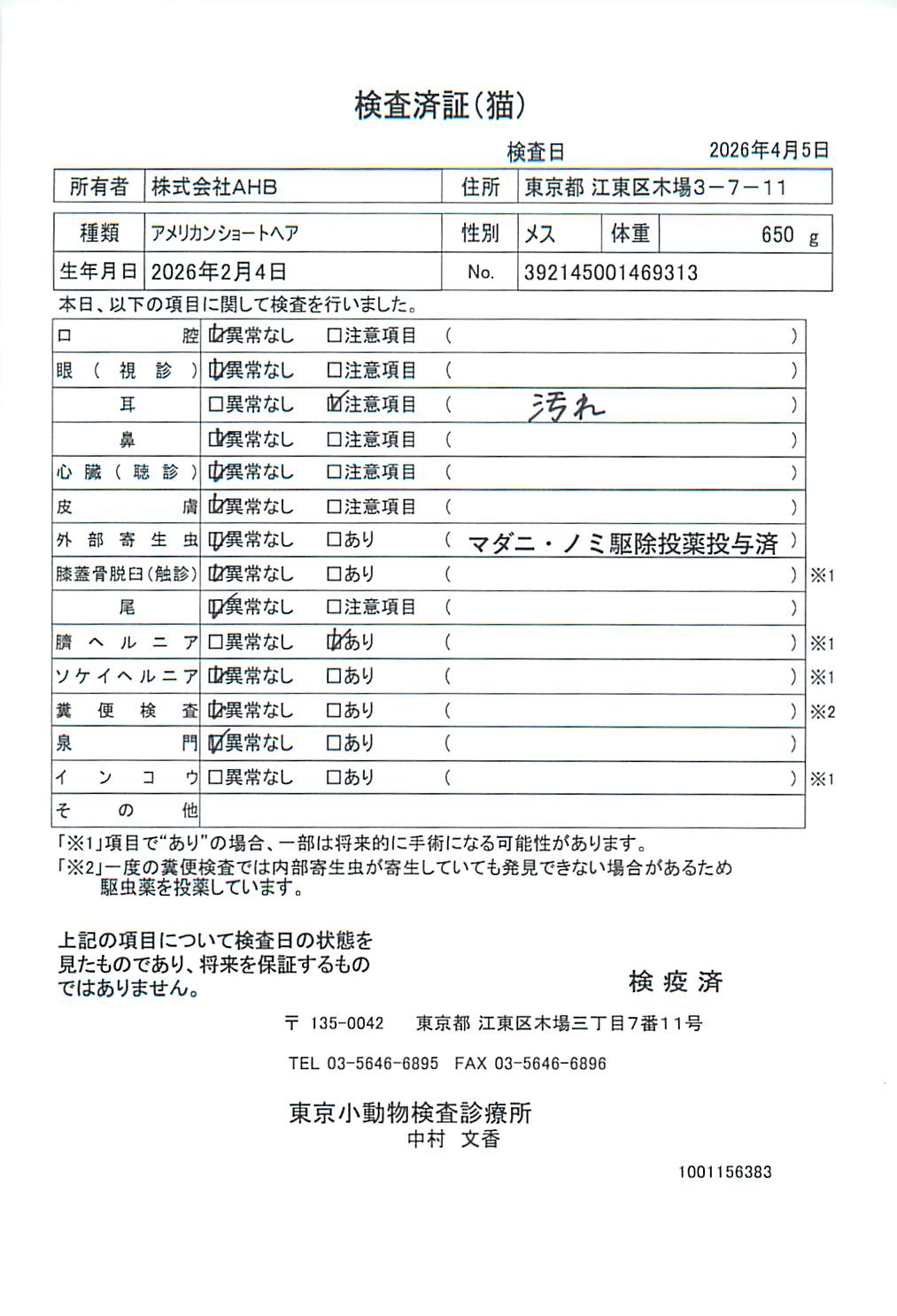 アメリカンショートヘア