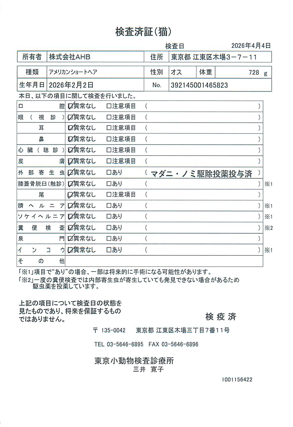 アメリカンショートヘア
