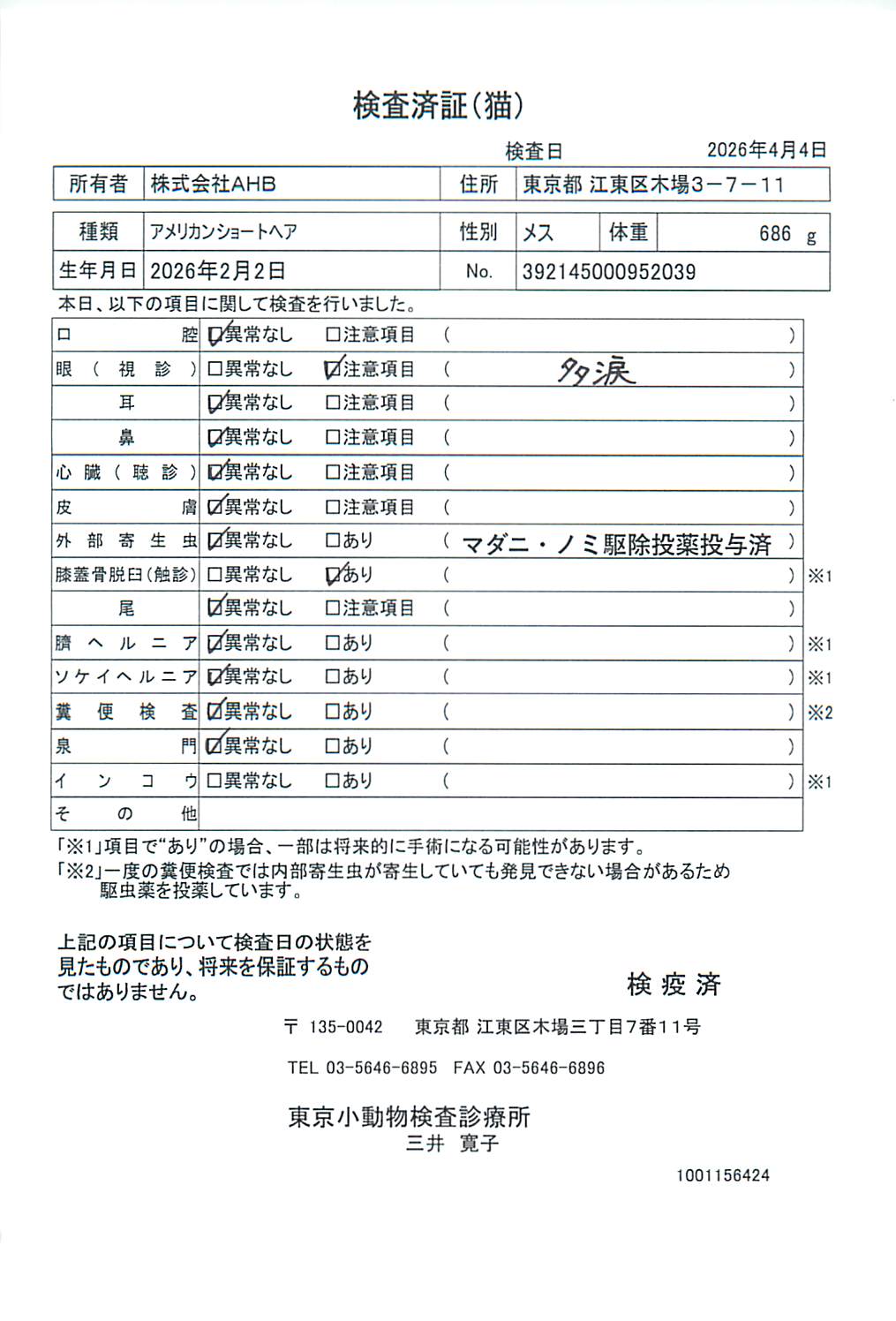 アメリカンショートヘア