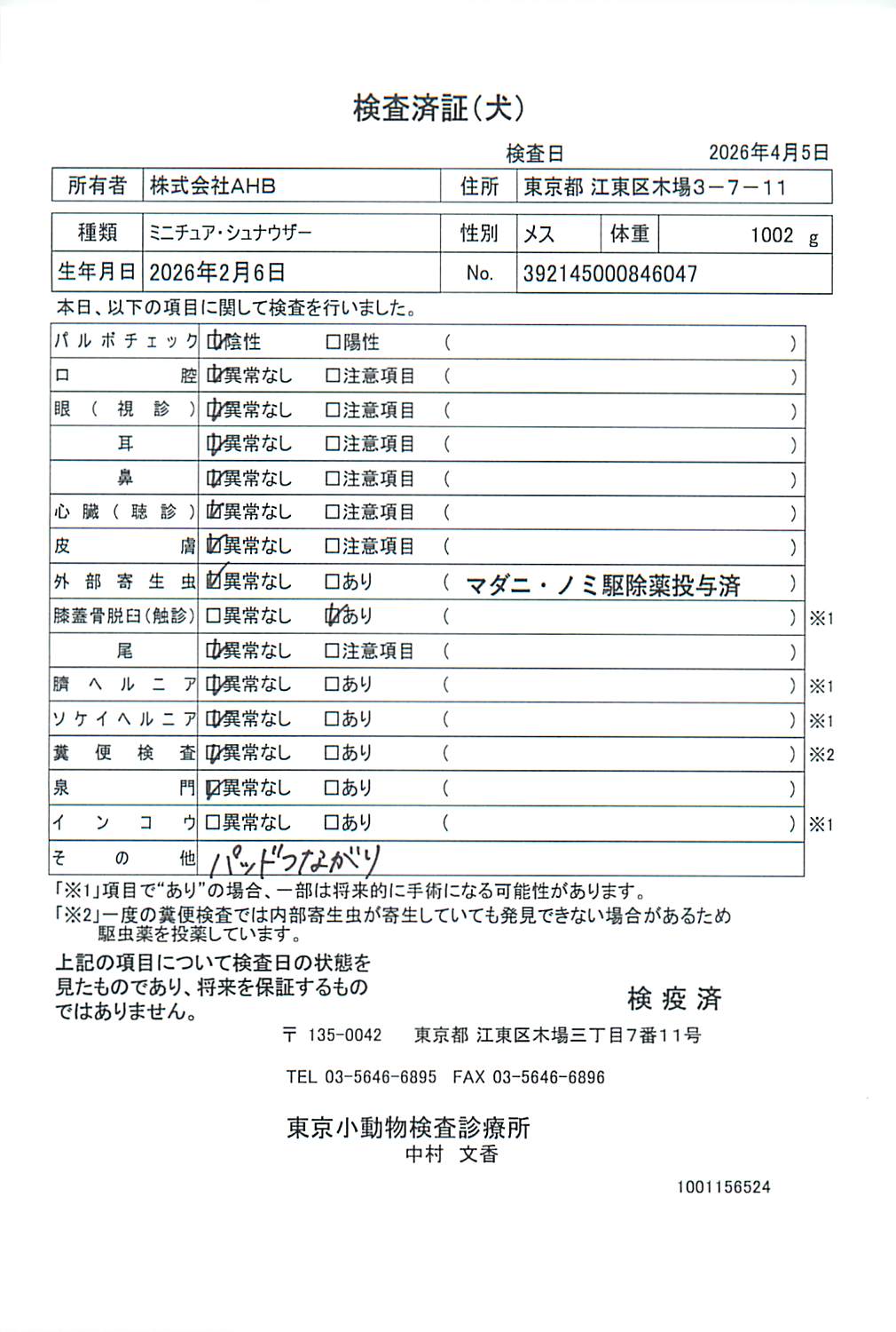 ミニチュア・シュナウザー