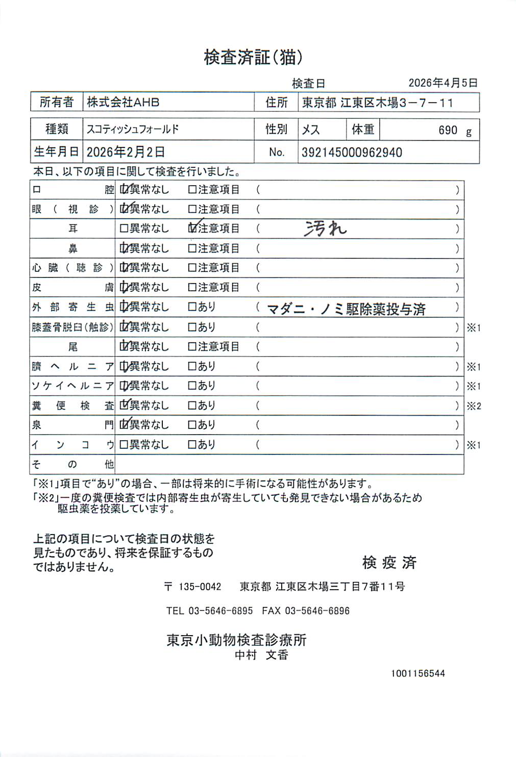 スコティッシュフォールド