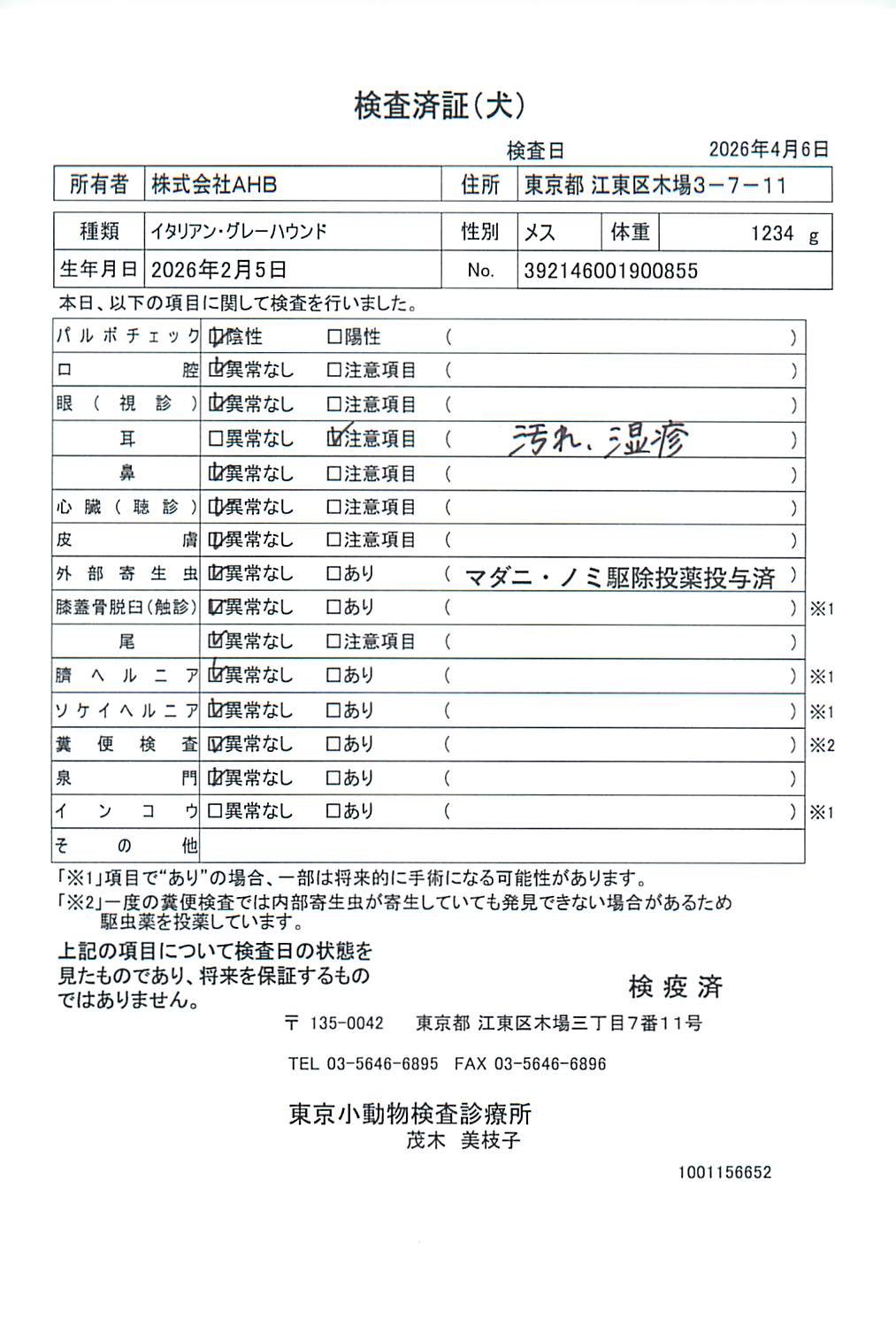 イタリアン・グレーハウンド