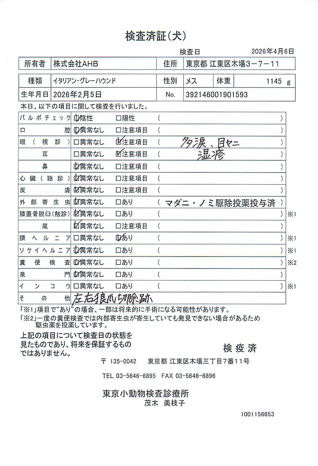 イタリアン・グレーハウンド