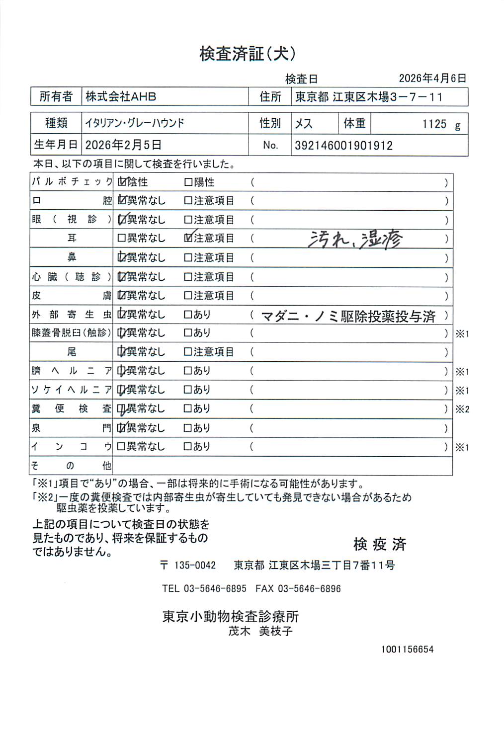 イタリアン・グレーハウンド
