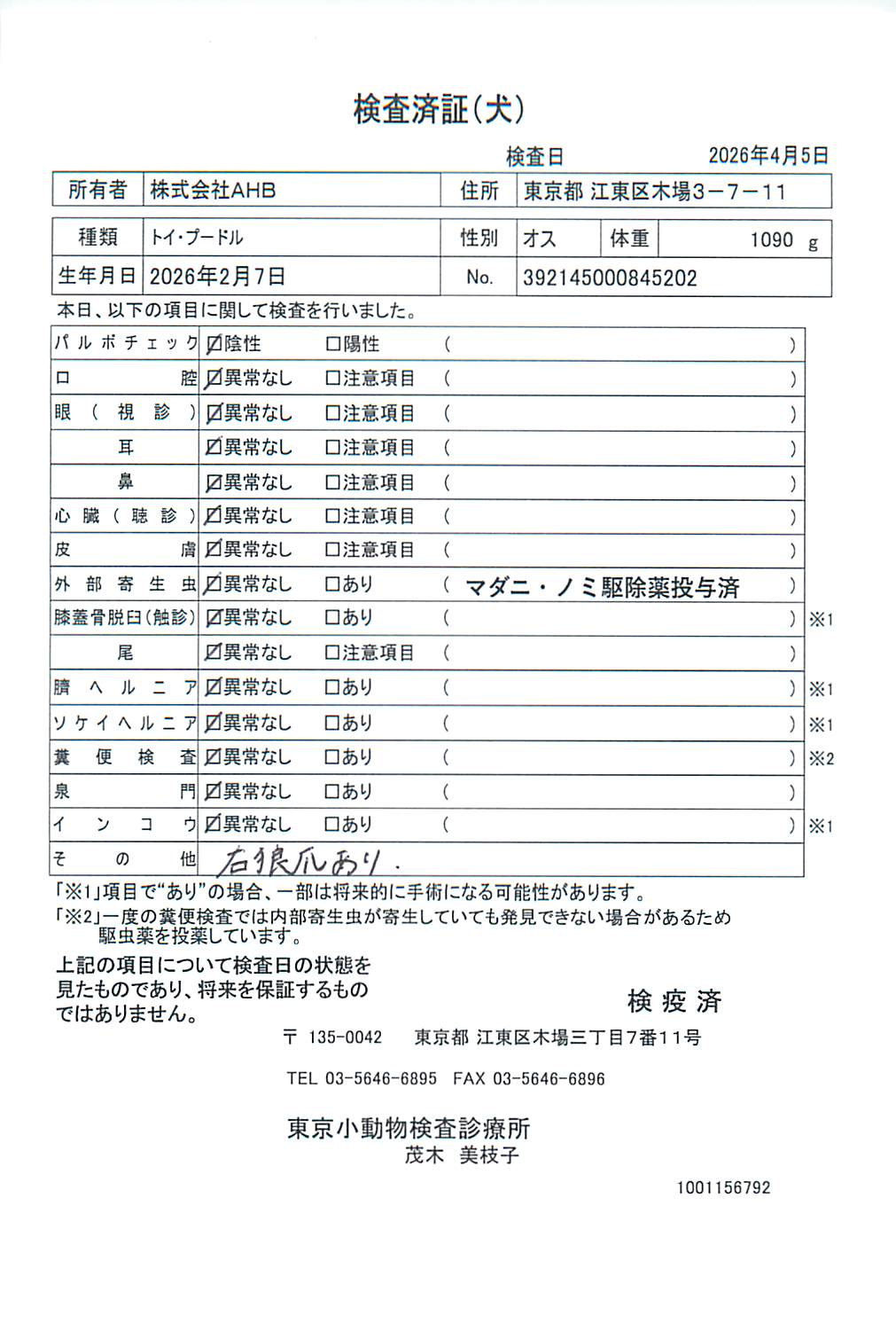 トイ・プードル