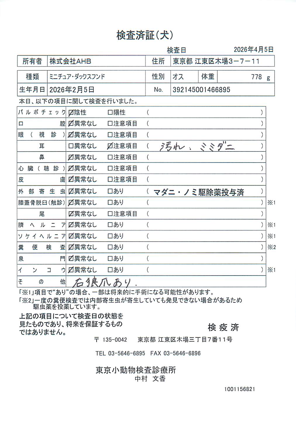 ミニチュア・ダックスフンド