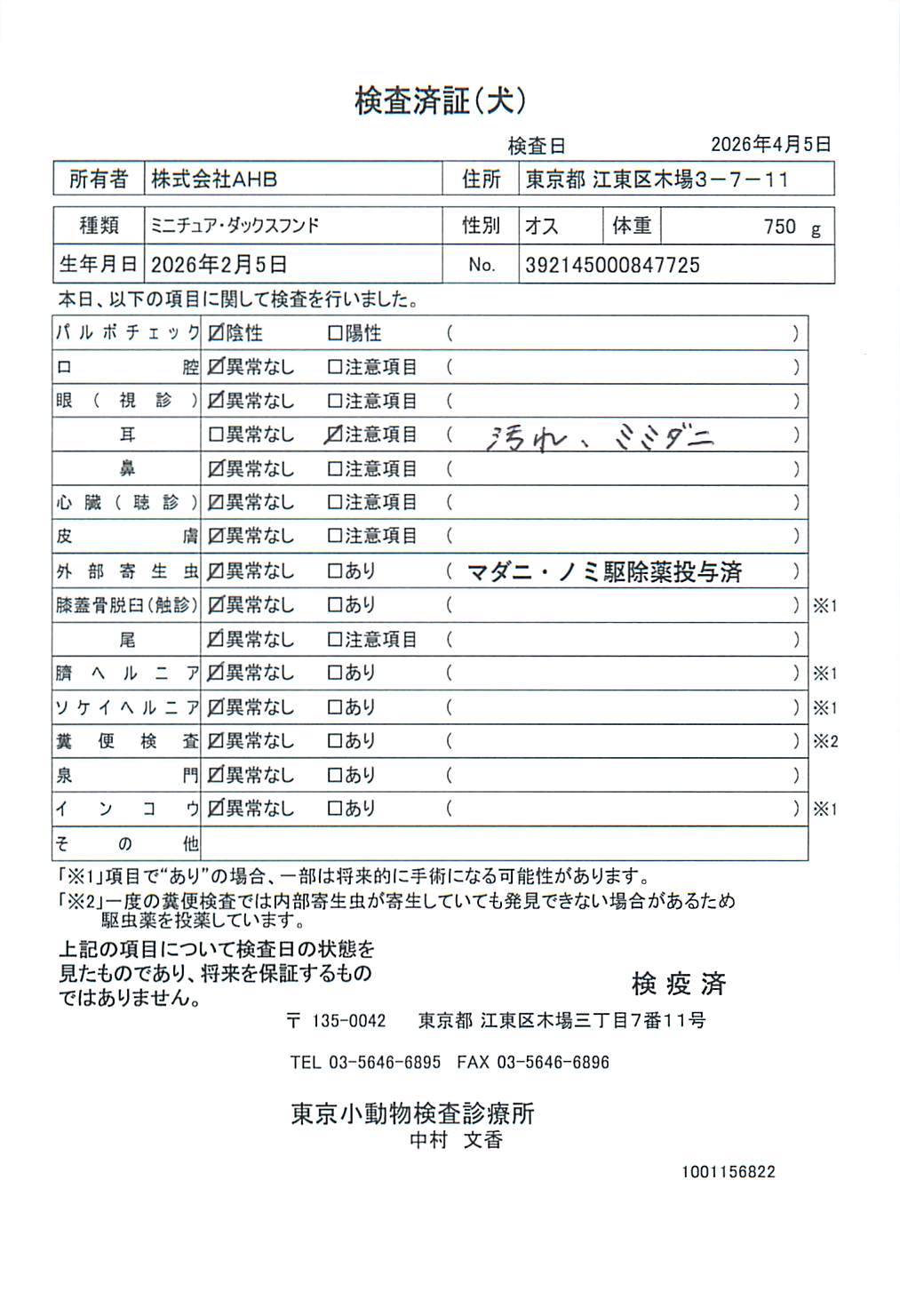 ミニチュア・ダックスフンド