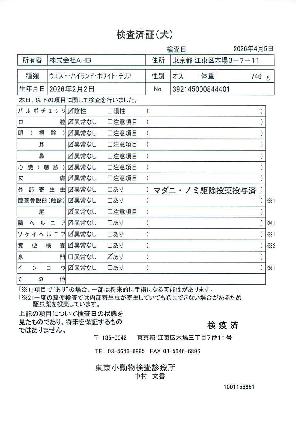ウエスト・ハイランド・ホワイト・テリア