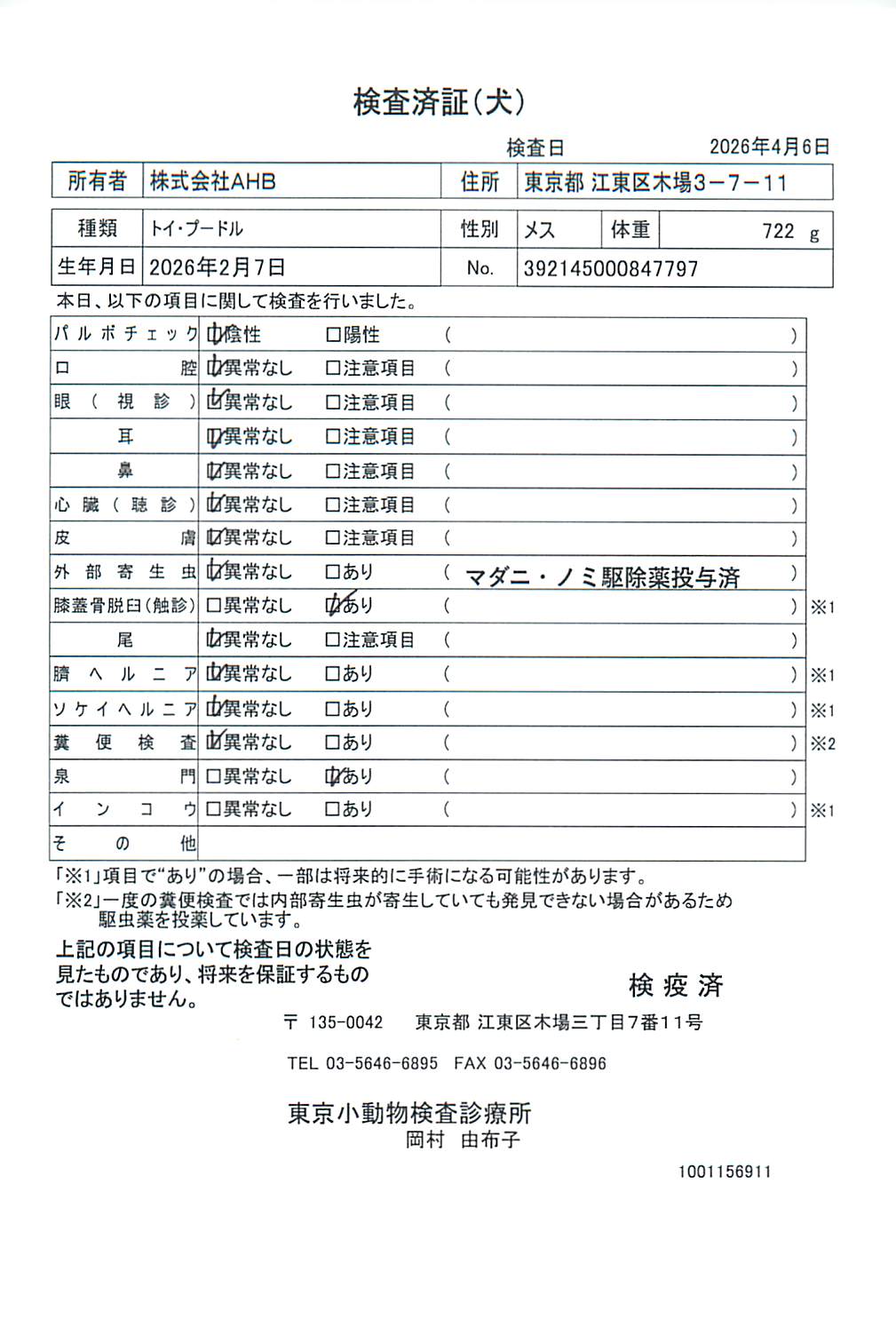 トイ・プードル