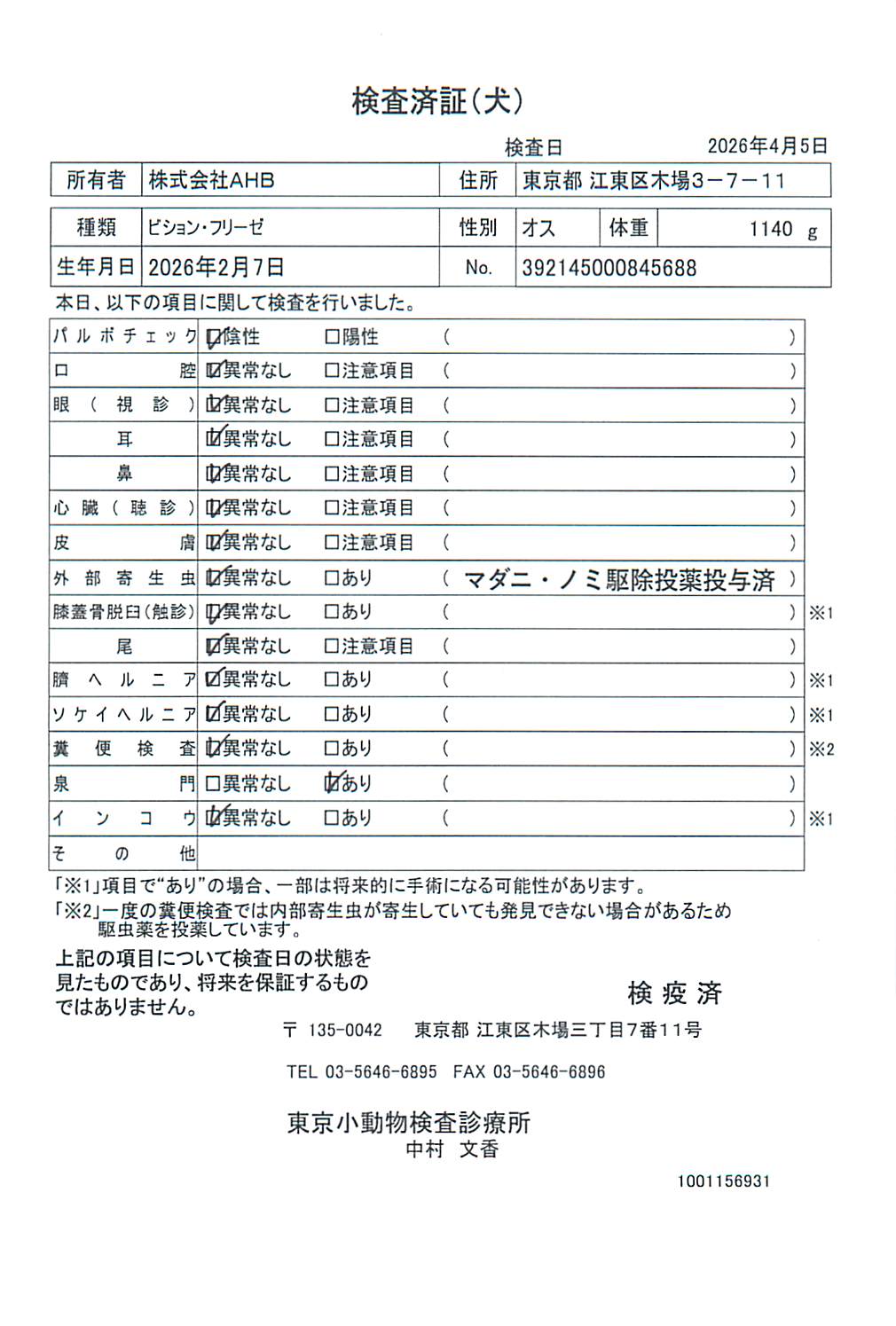 ビション・フリーゼ