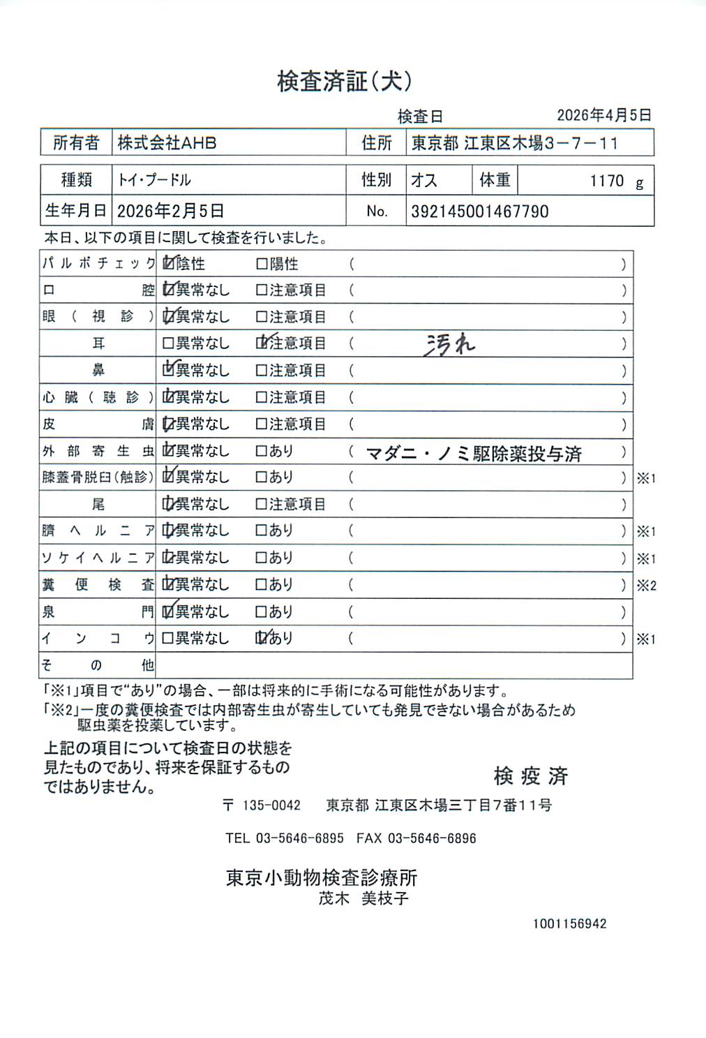 トイ・プードル