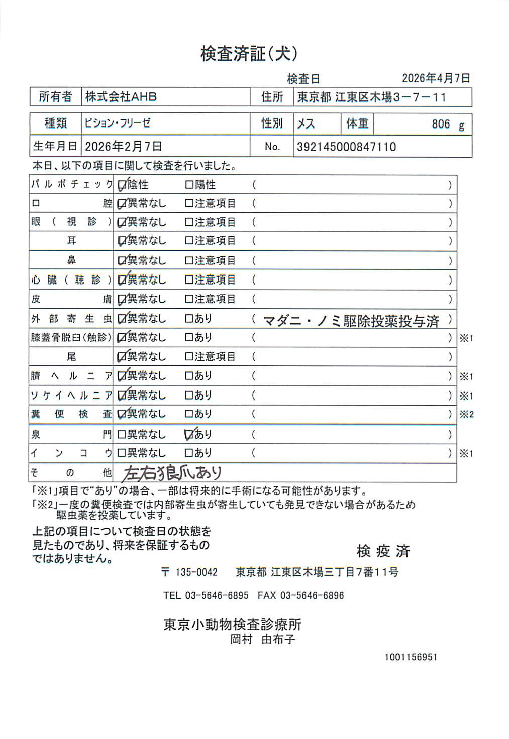 ビション・フリーゼ