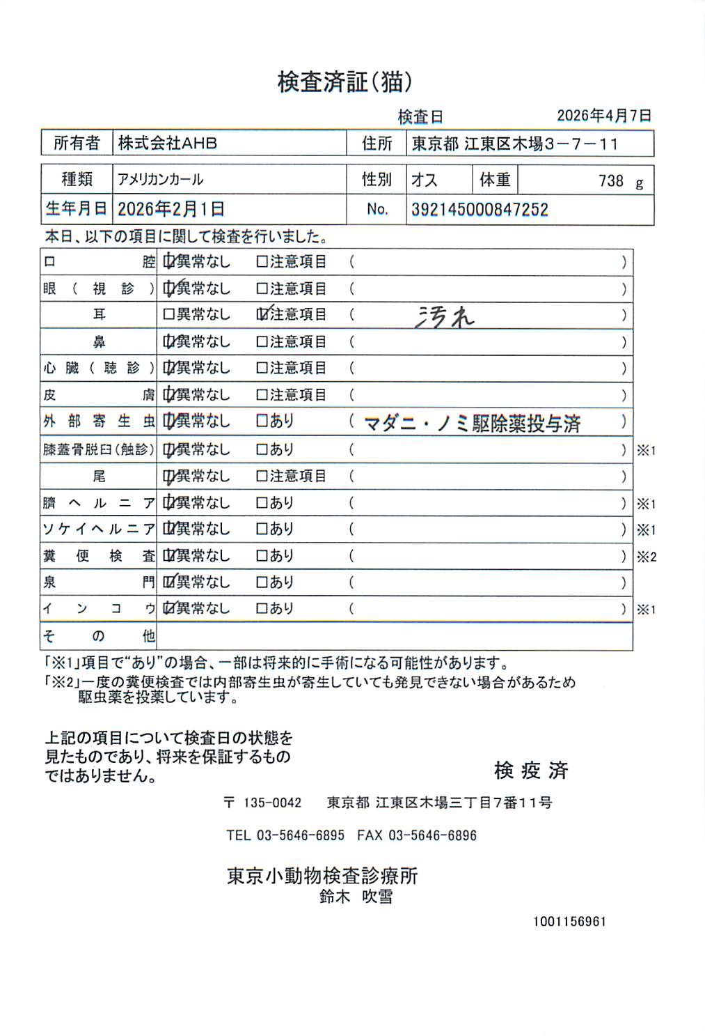 アメリカンカール
