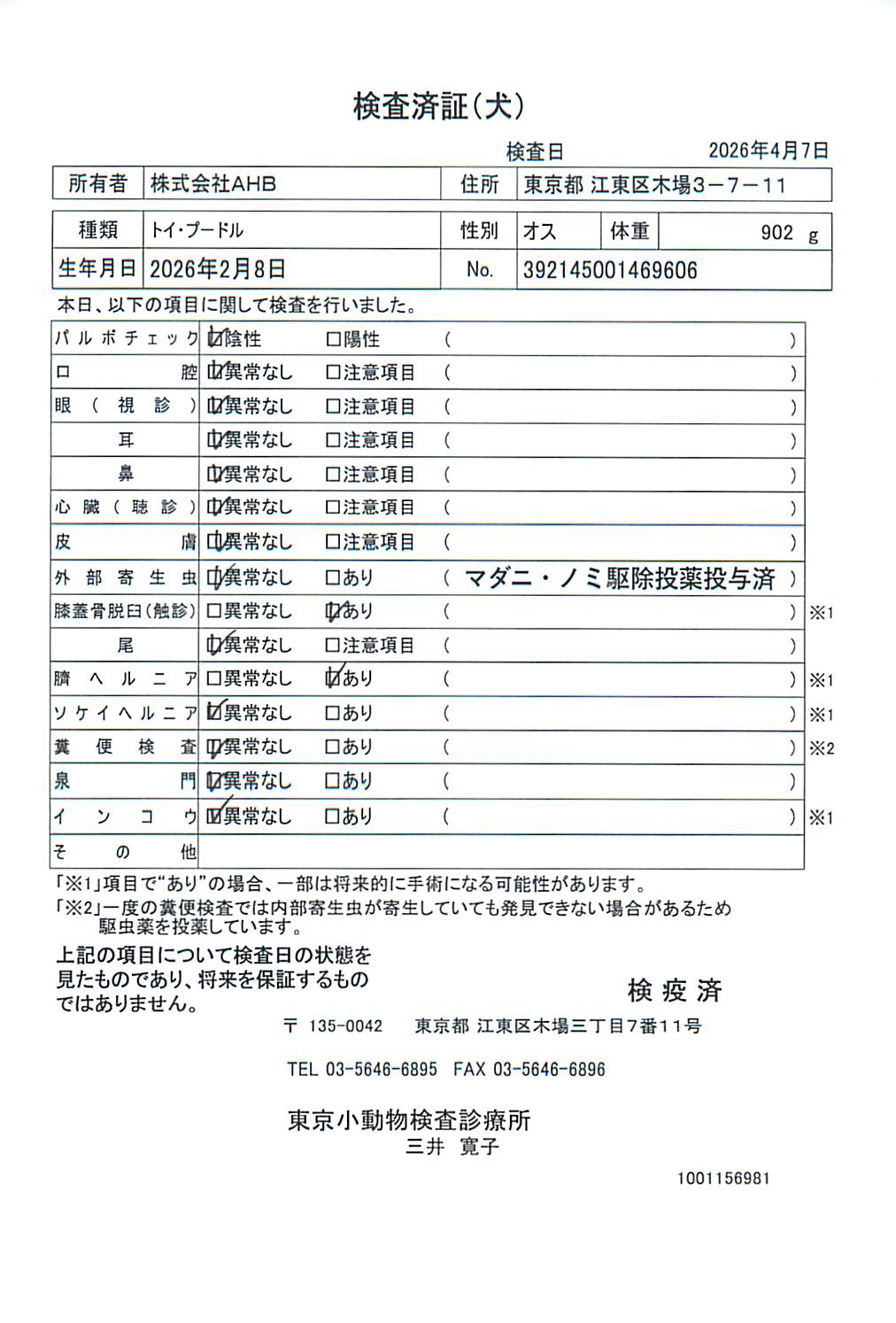 トイ・プードル