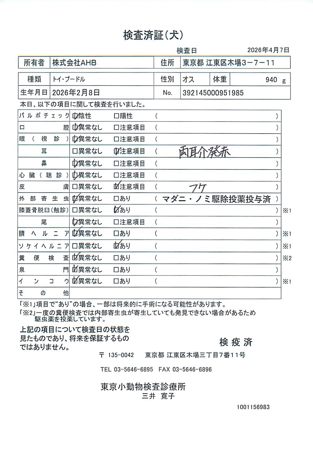 トイ・プードル