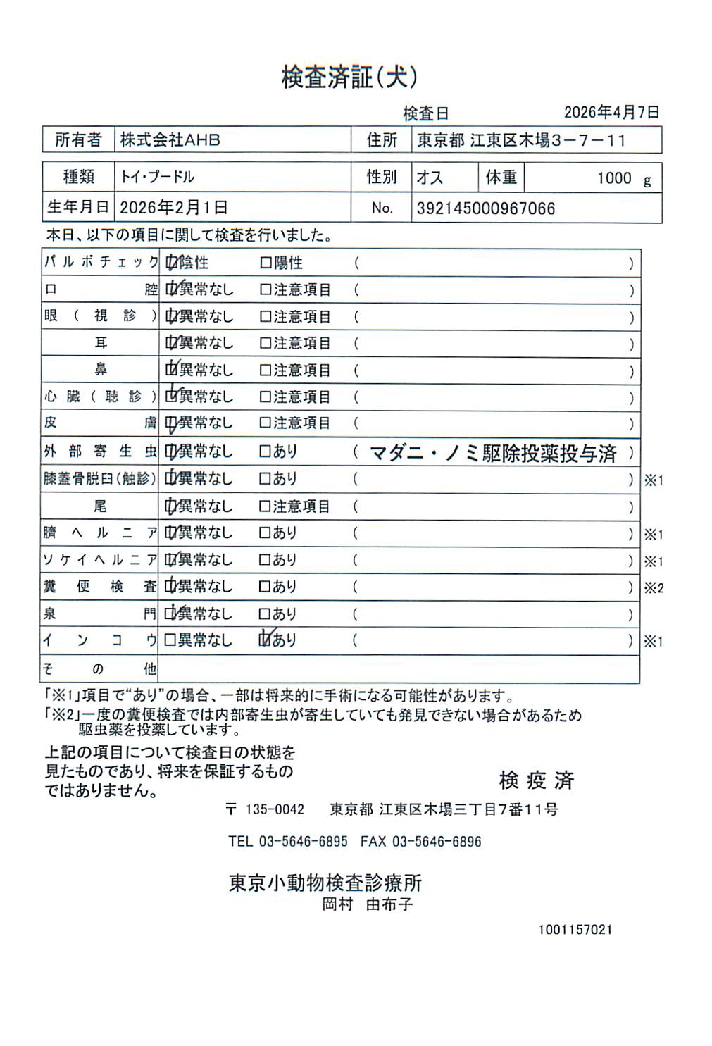 トイ・プードル
