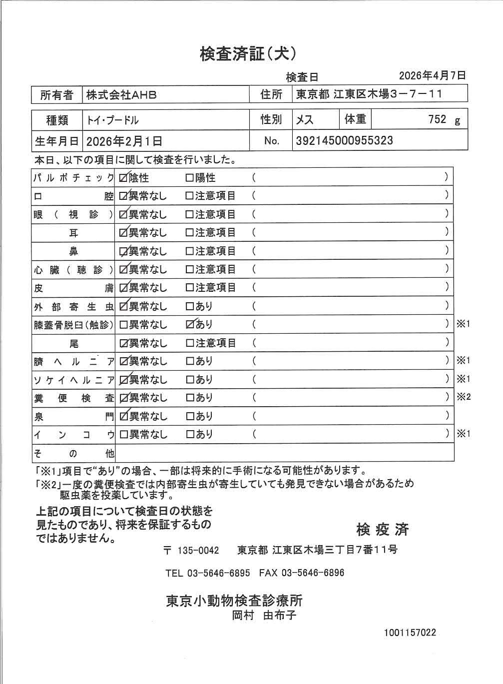 トイ・プードル