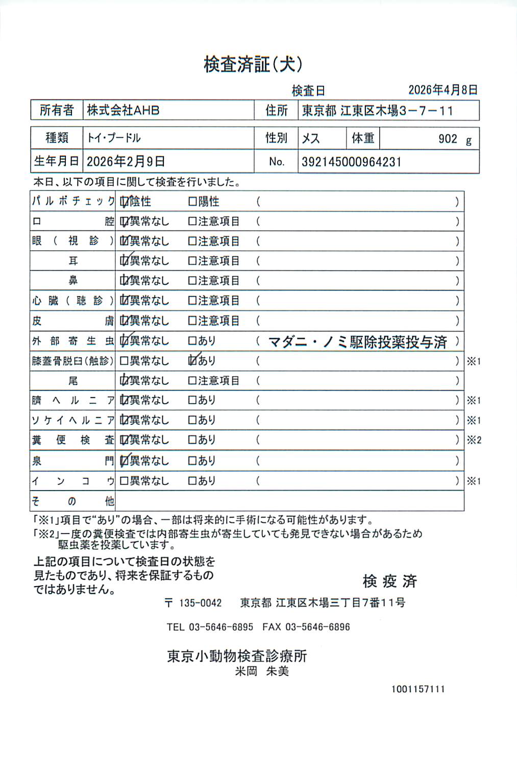 トイ・プードル