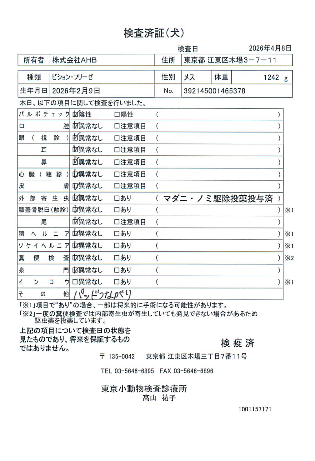 ビション・フリーゼ