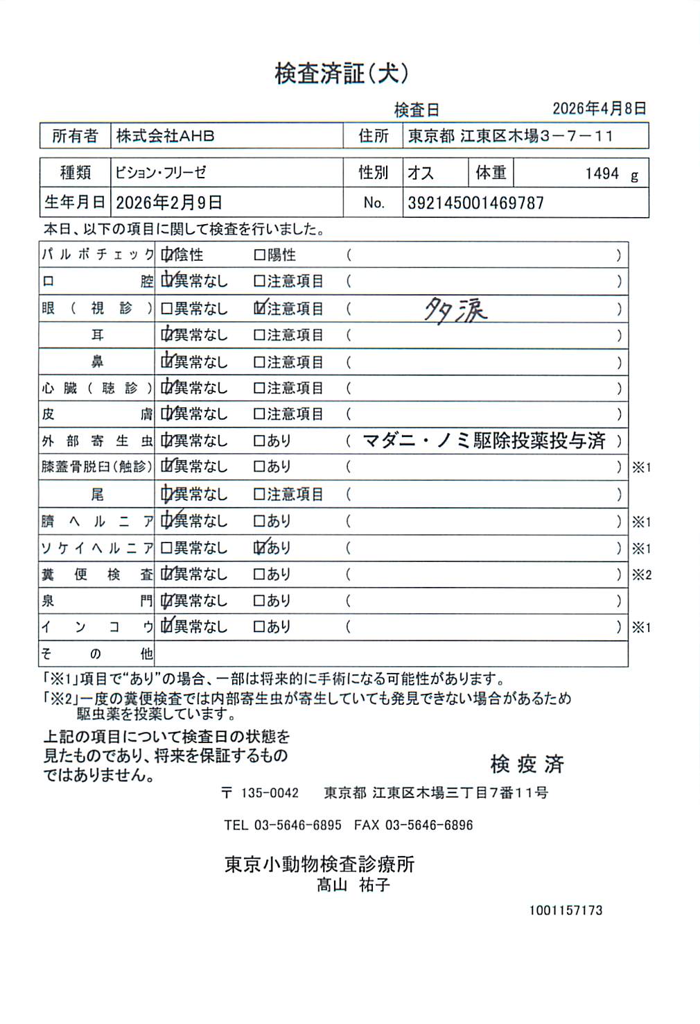 ビション・フリーゼ