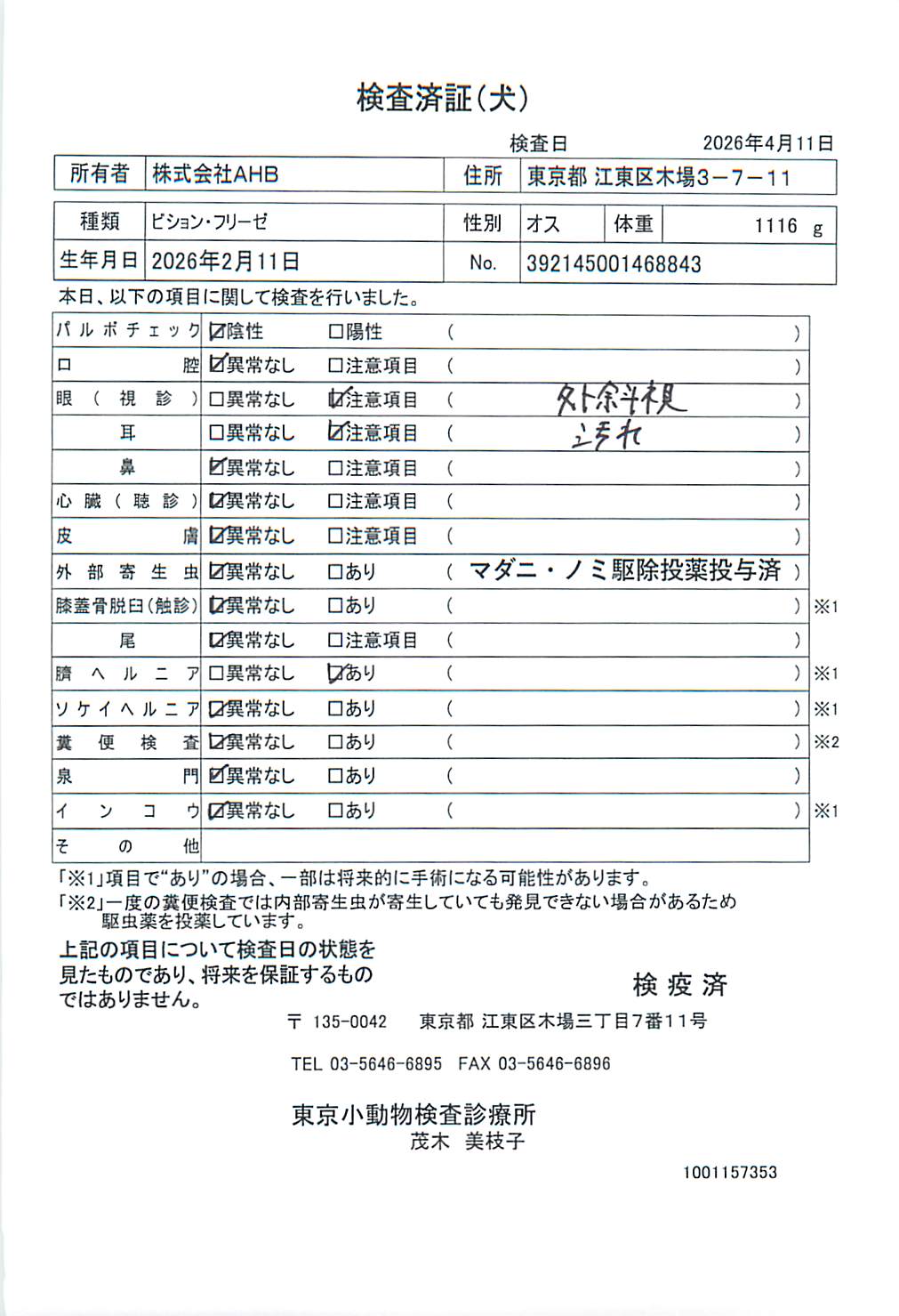 ビション・フリーゼ