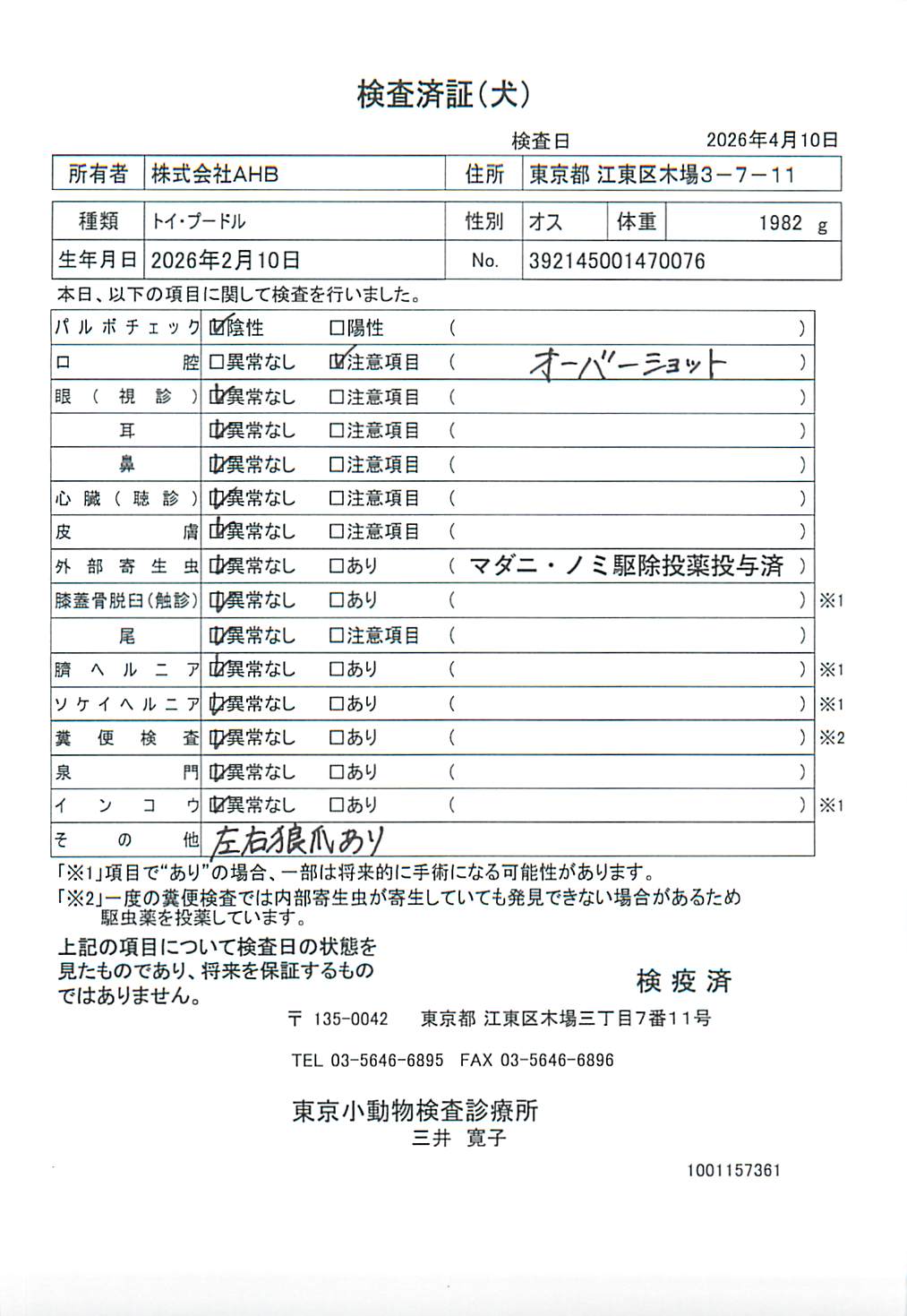 トイ・プードル