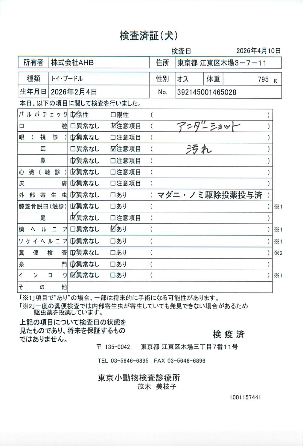 トイ・プードル