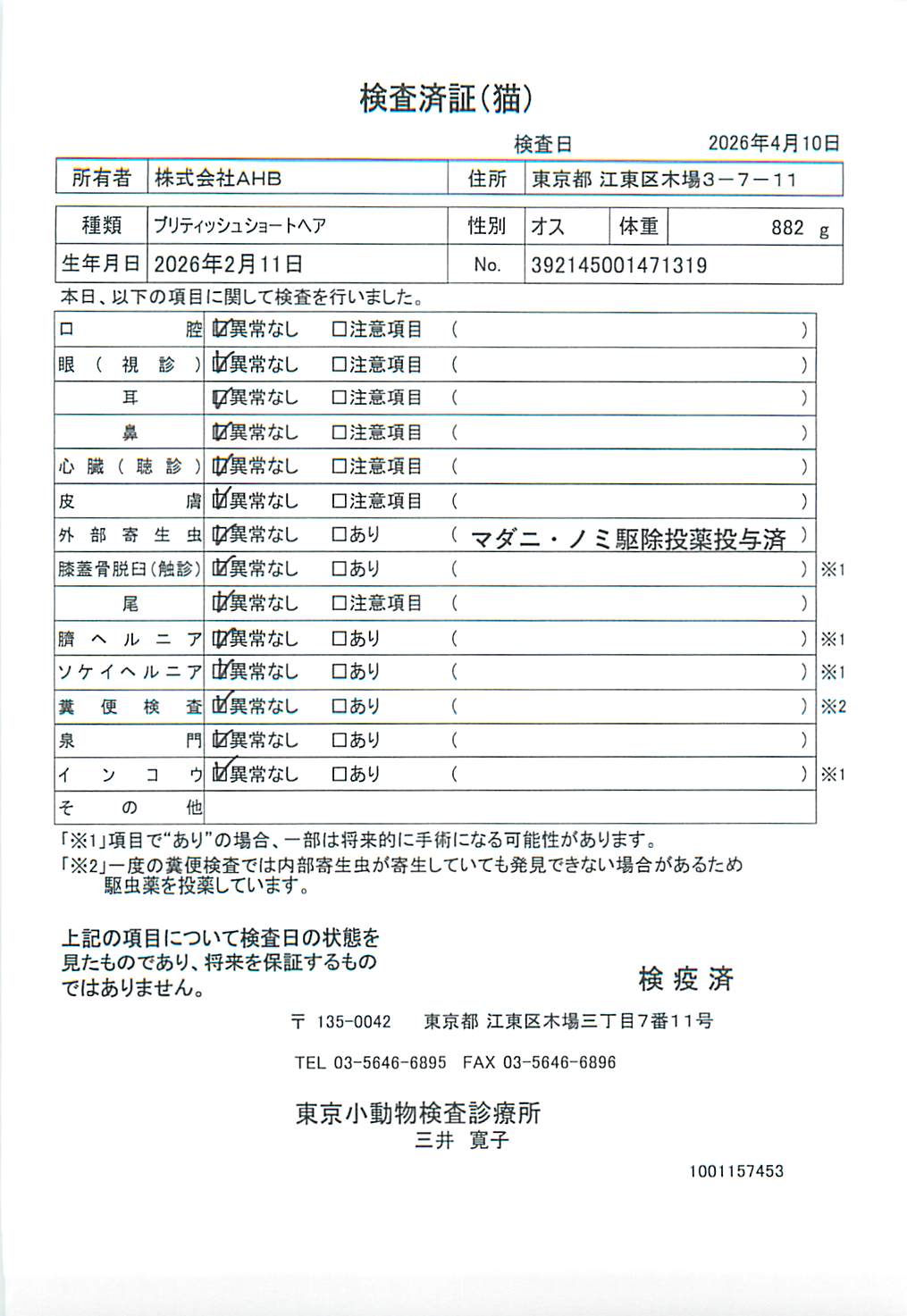 ブリティッシュショートヘア
