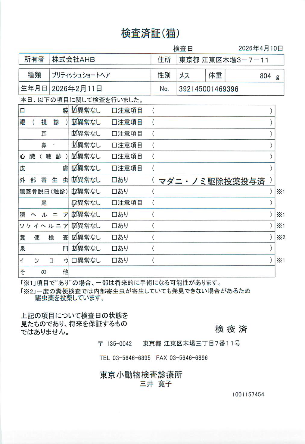 ブリティッシュショートヘア