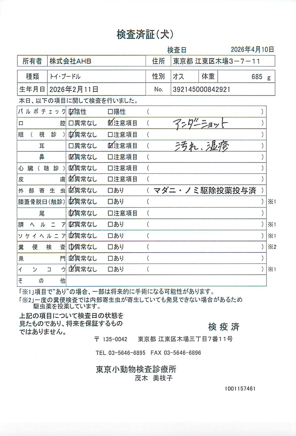トイ・プードル