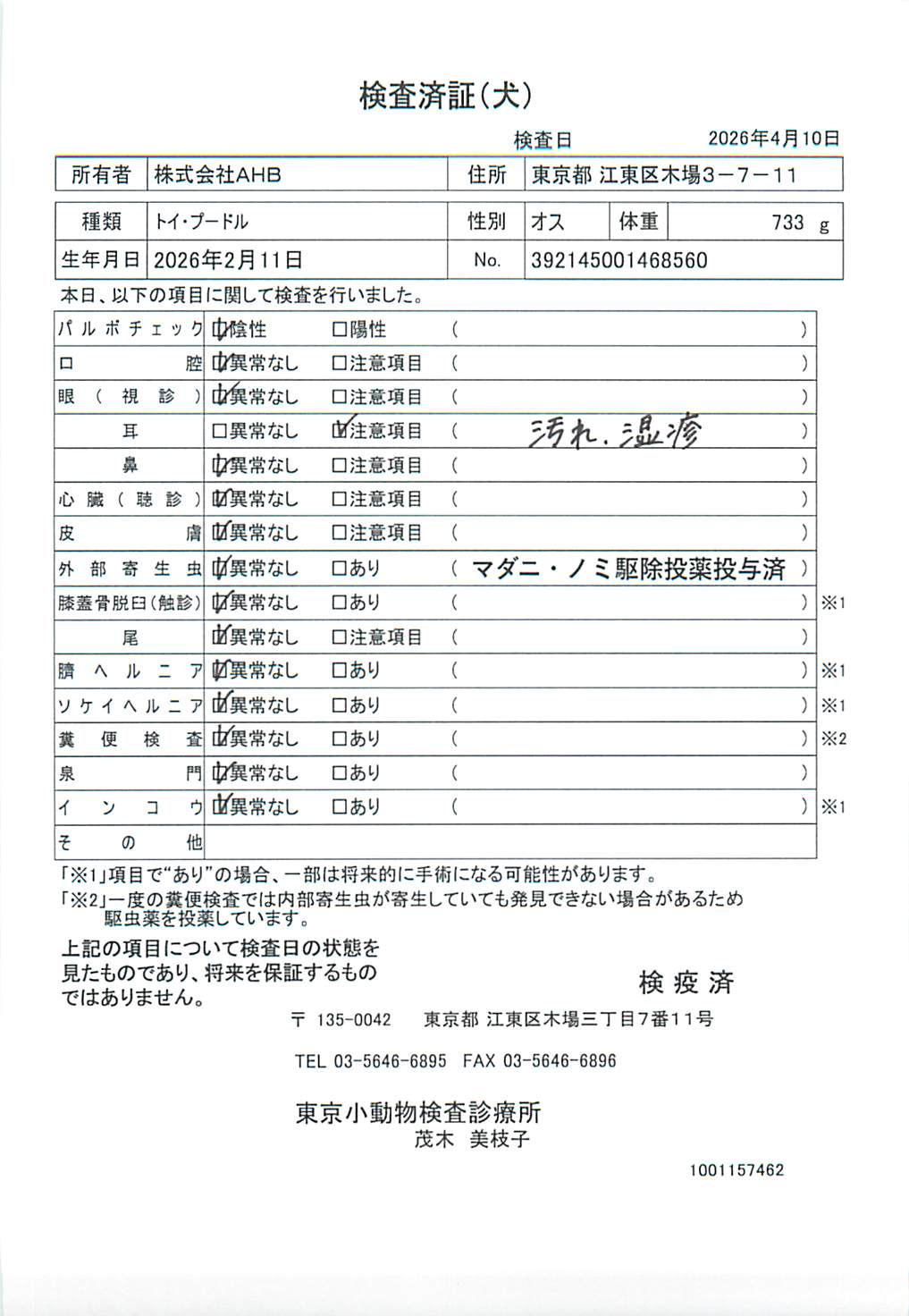 トイ・プードル