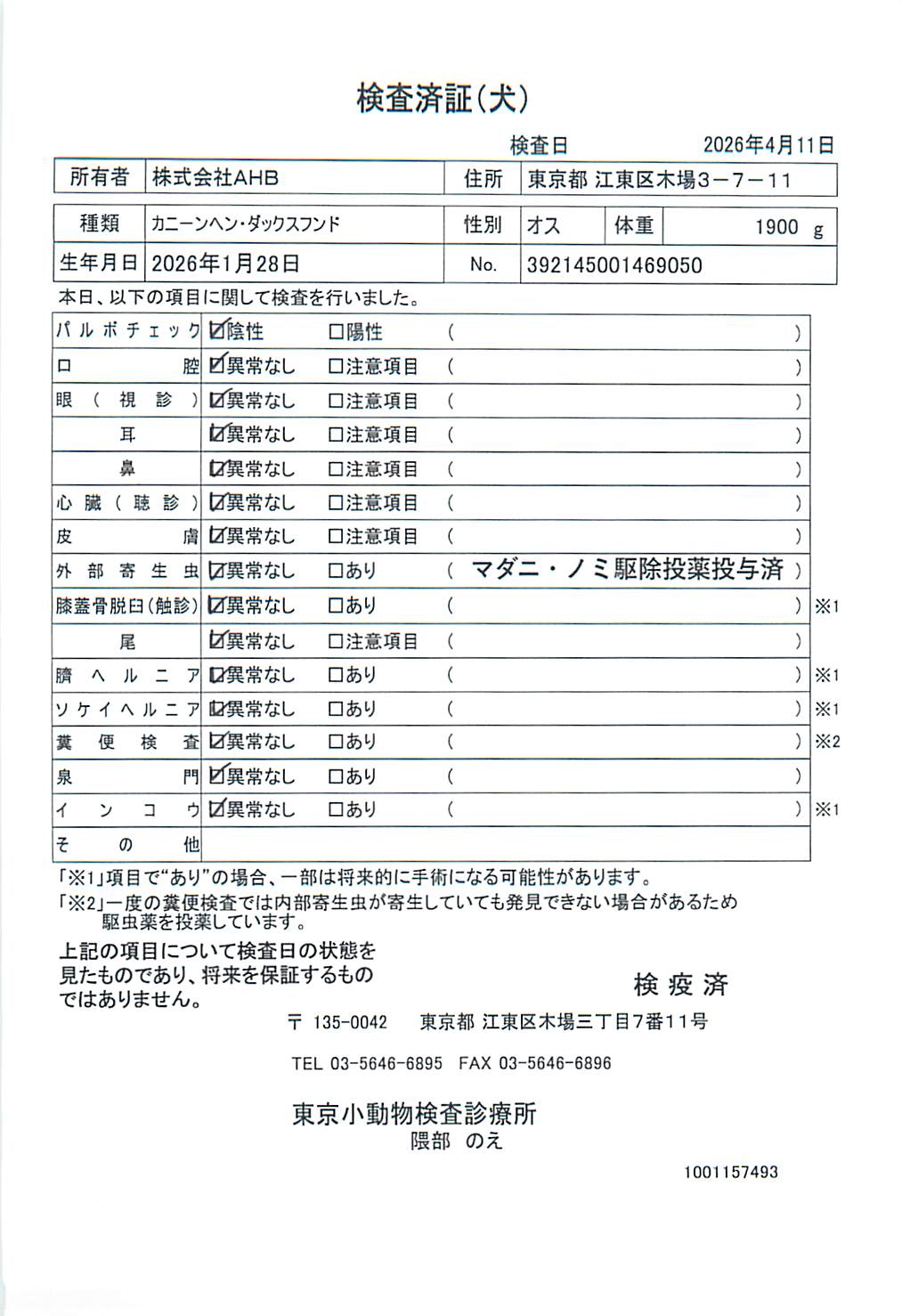 カニーンヘン・ダックスフンド
