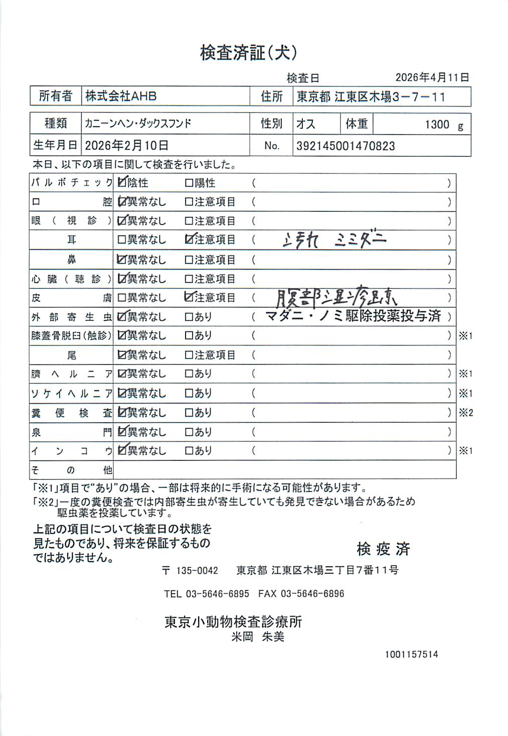 カニーンヘン・ダックスフンド