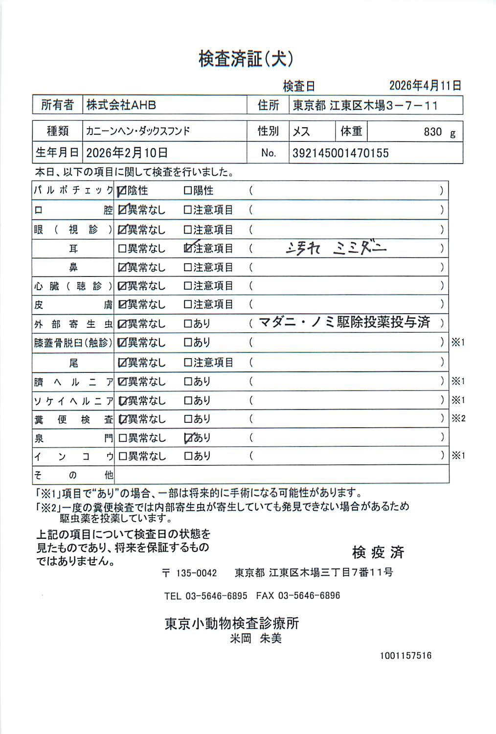 カニーンヘン・ダックスフンド