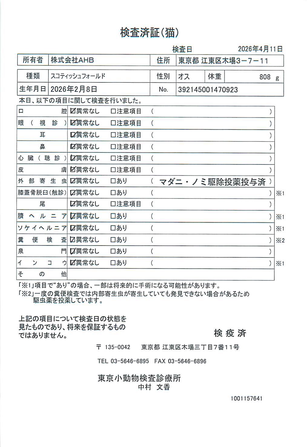 スコティッシュフォールド